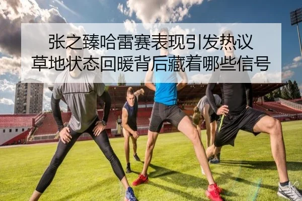 张之臻哈雷赛表现引发热议 草地状态回暖背后藏着哪些信号